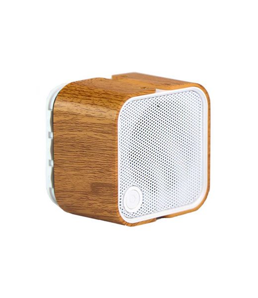 TSCO TS 2385 Portable Speaker1