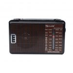Golon RX 608ACW Radio