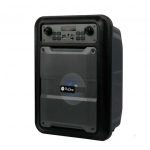 ProOne Series PSB4910 Wireless Speaker